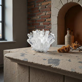 Groupe quartz naturel DUKIZA, cadeau parfait pour les passionnés de cristaux.