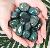 DUQGUHO Moss Agate, pierres irrégulières, détail, parfaites pour les arts et bijoux faits main.