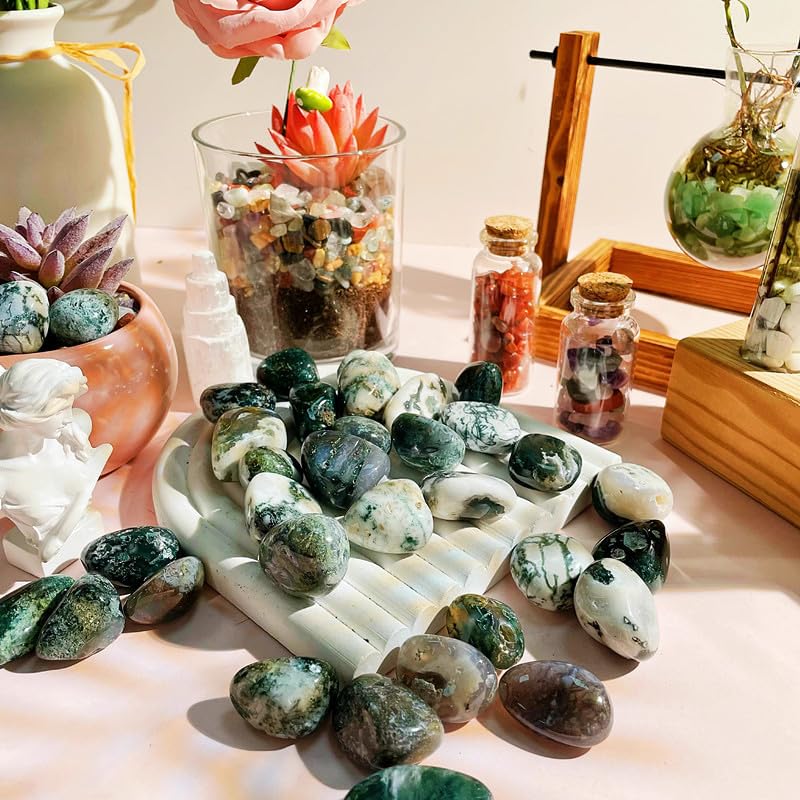 DUQGUHO Moss Agate dans un vase, éclats lumineux, décor soigné.