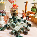 DUQGUHO Moss Agate dans un vase, éclats lumineux, décor soigné.