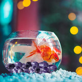 DUQGUHO améthyste gravier décoratif pour aquarium et terrarium.