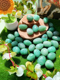 DUQGUHO Aventurine verte pierres décoratives pour terrarium et aquarium.