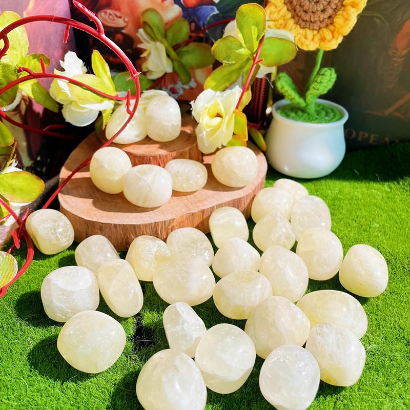 DUQGUHO Citrine — pierres pour terrariums et décor naturel.