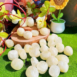 DUQGUHO Citrine — pierres pour terrariums et décor naturel.