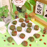 Unakite DUQGUHO pour aquarium et terrarium, couleur et ambiance zen