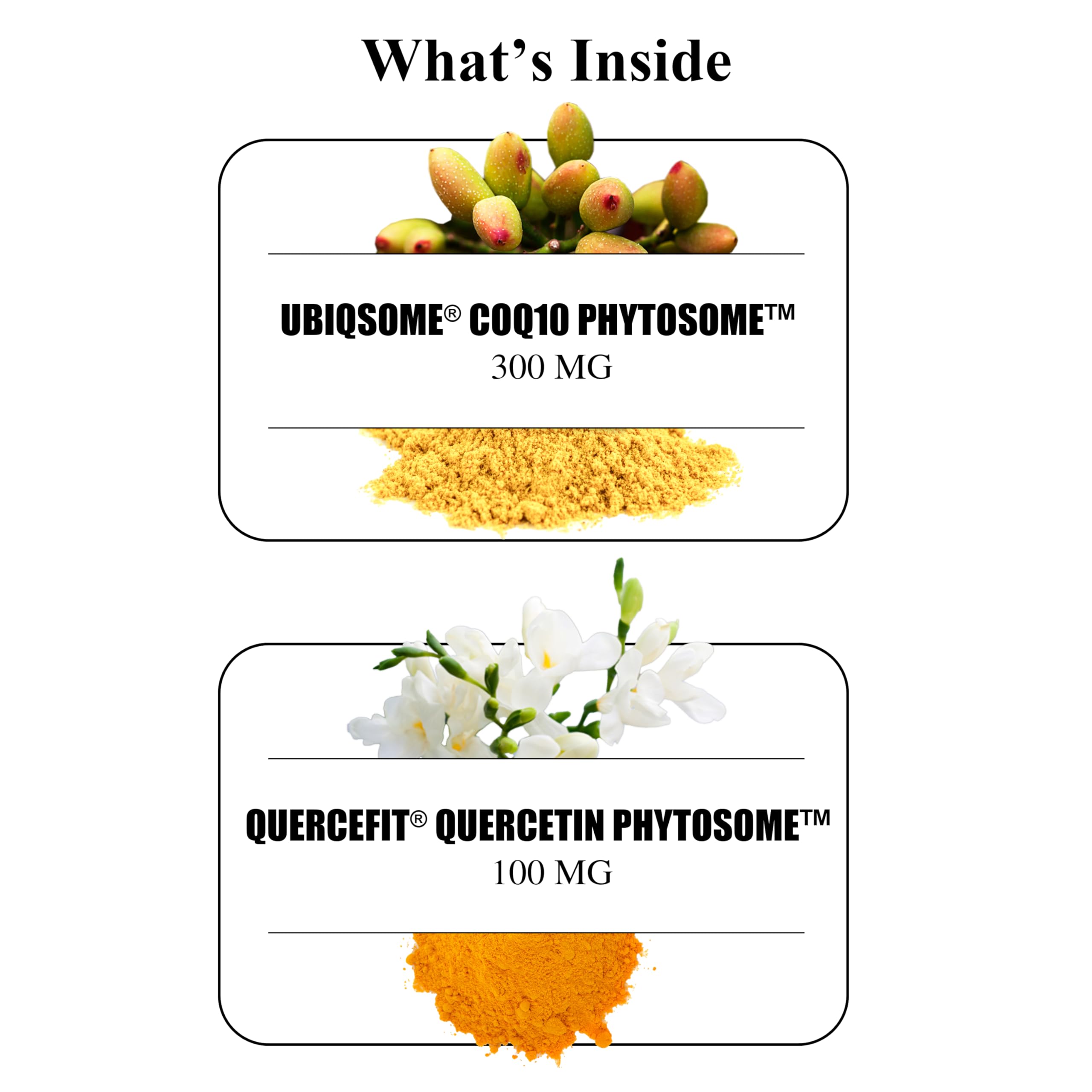 Durable CoQ10, formulation docteur Passero.