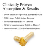 Durable CoQ10, niveaux sanguins soutenus jusqu'à 48 heures.