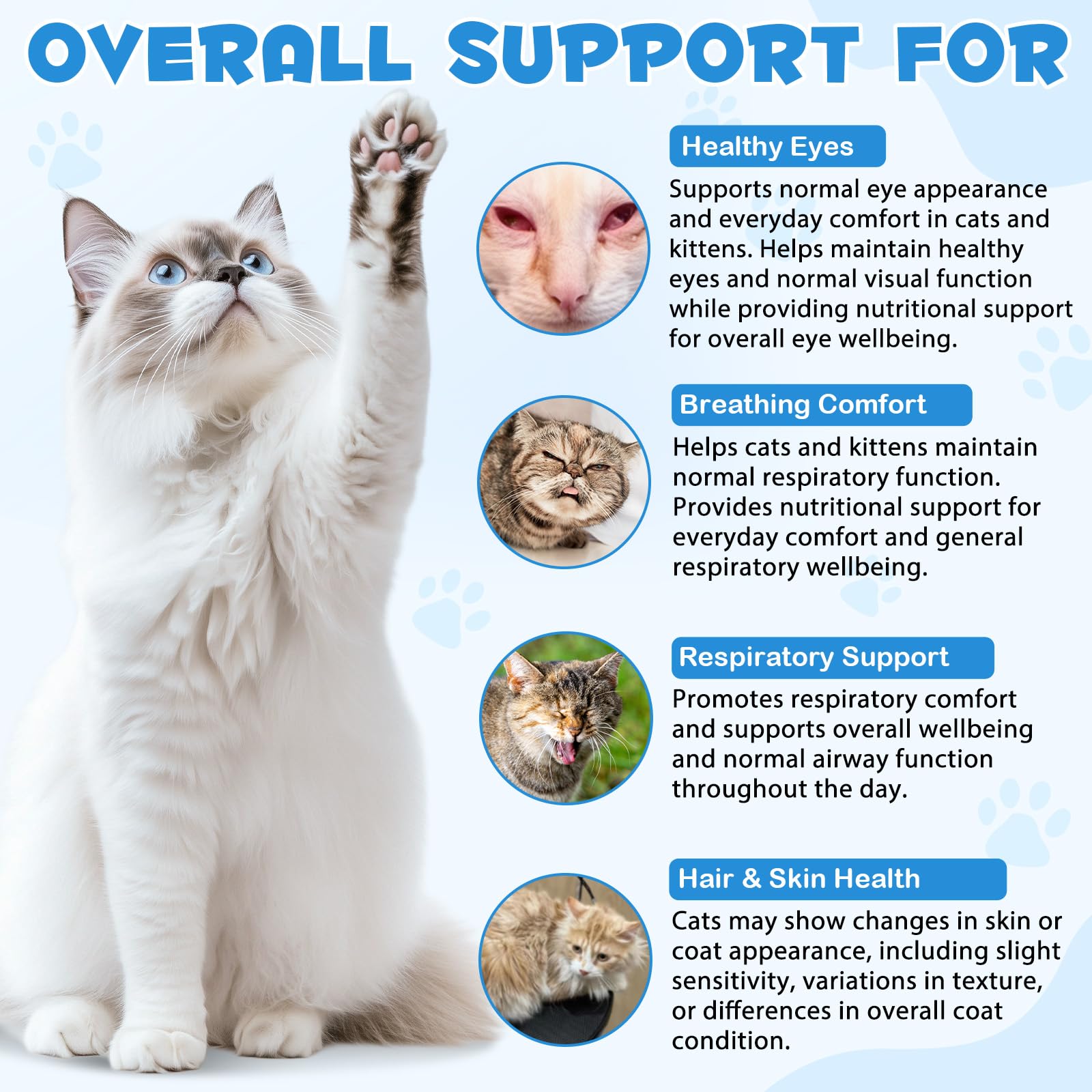 Yeux plus nets chez le chat grâce à Dvoevivh Lysine