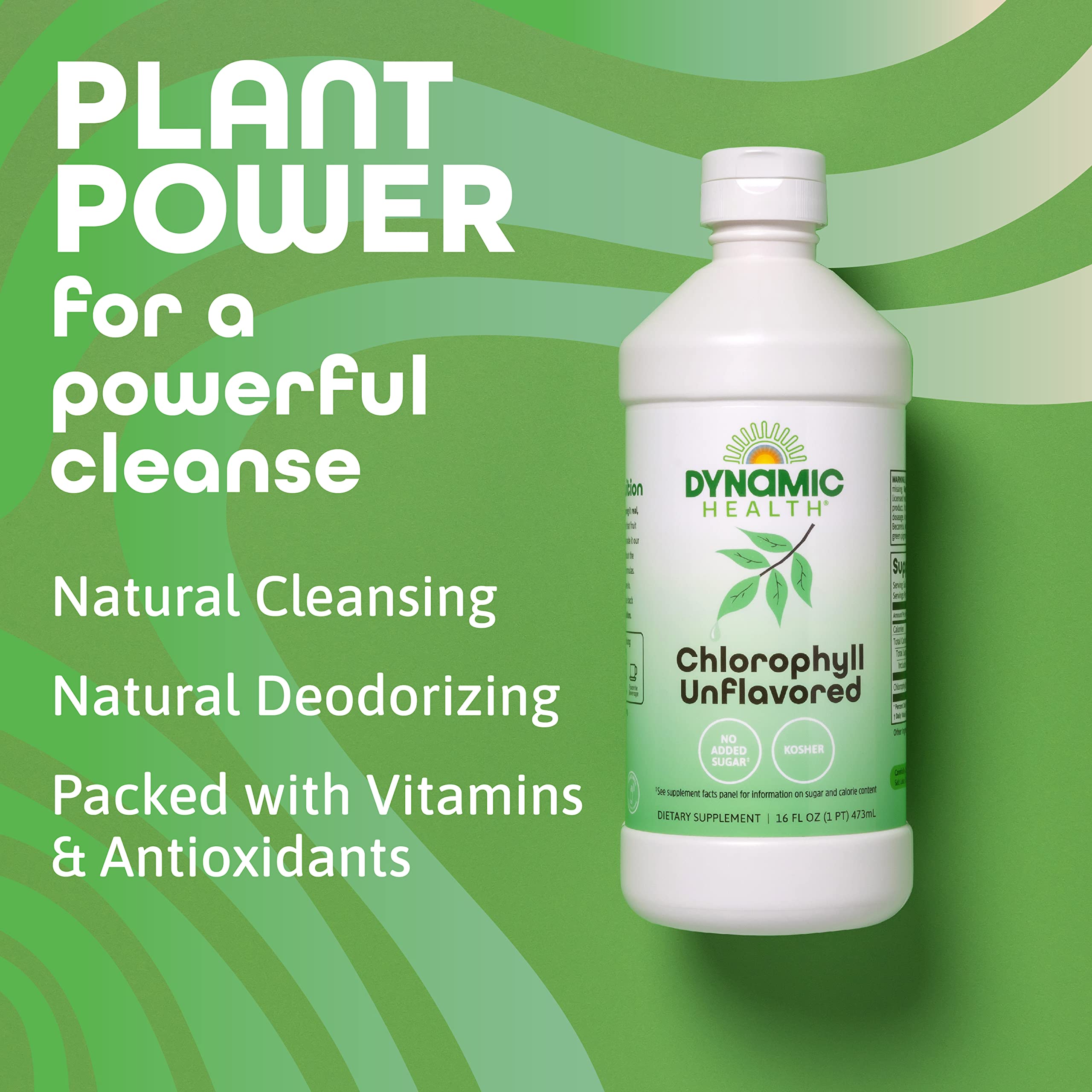 Dynamic Health Chlorophylle liquide – feuilles de m rue rier (murier) et couleur verte.