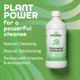 Dynamic Health Chlorophylle liquide – feuilles de m rue rier (murier) et couleur verte.