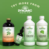 Dynamic Health Chlorophylle liquide – contrôle qualité en laboratoire pour une composition fiable.