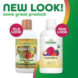 Dynamic Health Nopal Gold — jus biologique prêt à l’emploi, riche en nutriments et polyphénols.