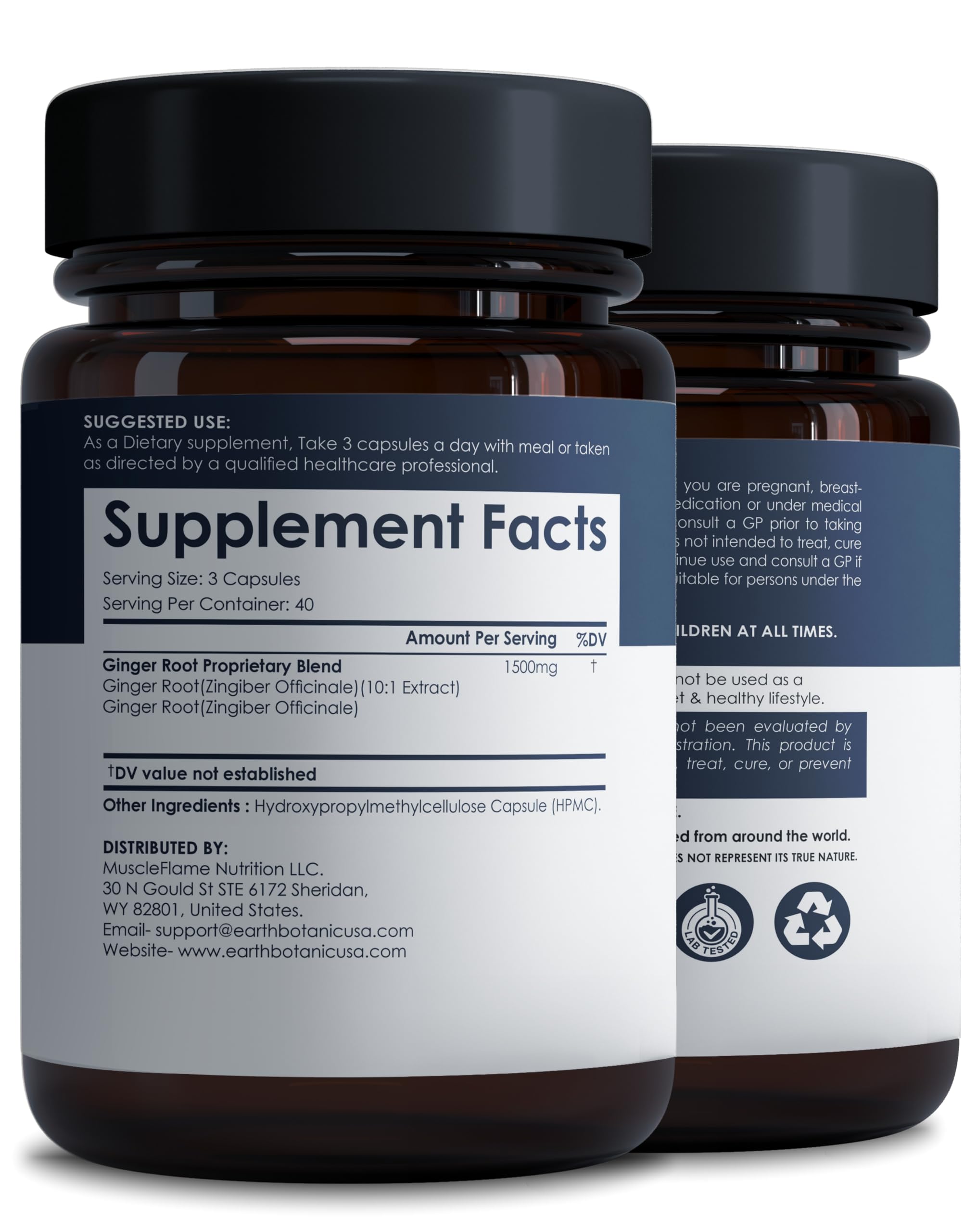 Earth Botanique Gelules Gingembre 1500mg, capsules faciles à ingérer.