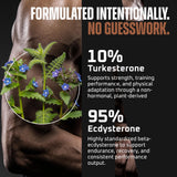 Earth Elixir dosage-turkesterone-ecdysterone-capsules: dosage clair pour l’entraînement.