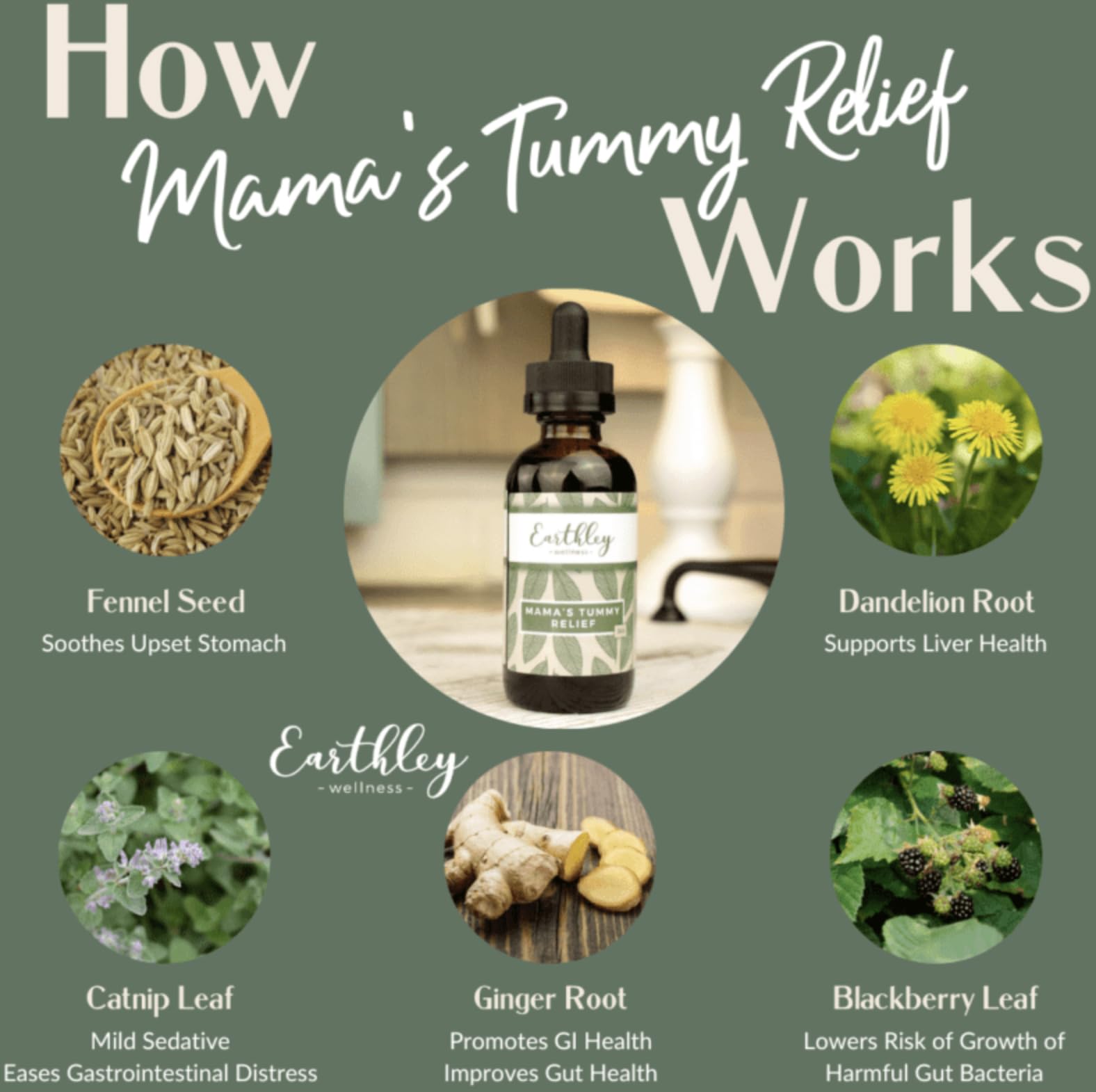 Earthley Mama’s Tummy Relief — étiquette claire montrant les ingrédients naturels.