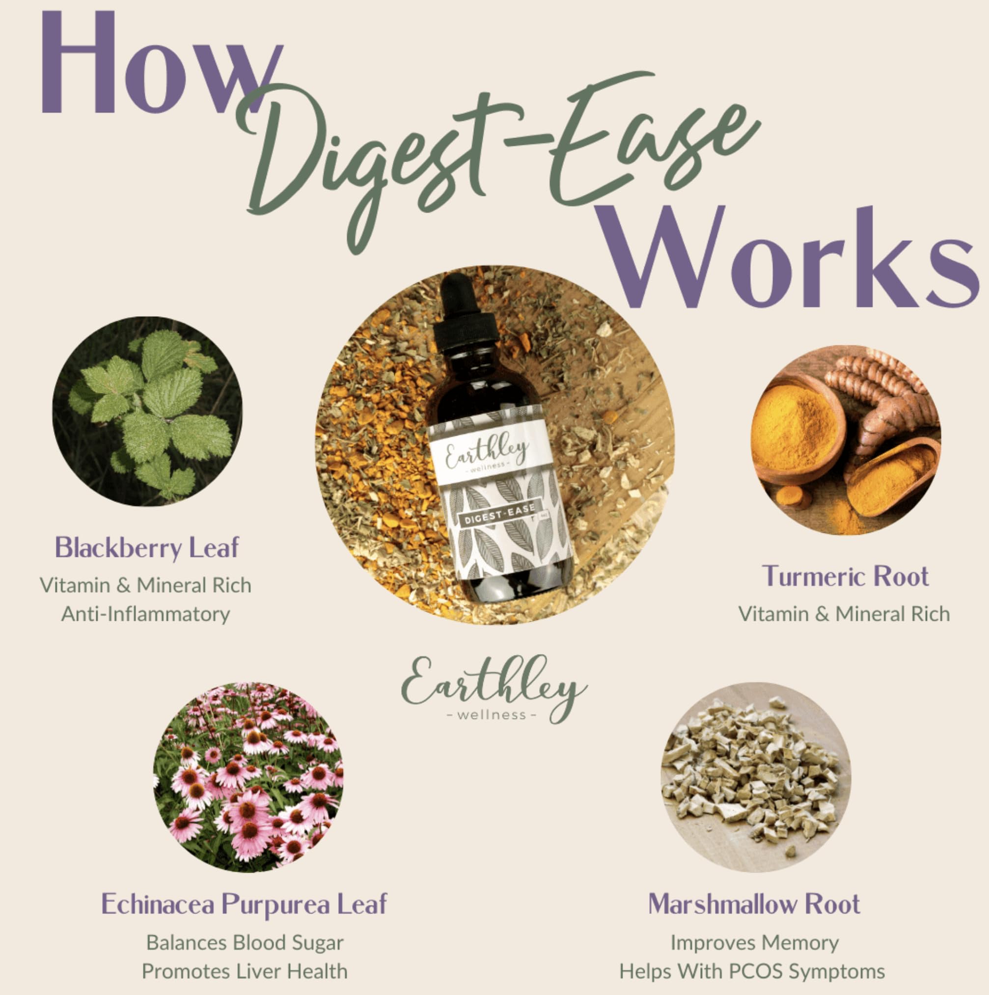 Earthley Wellness Digest Ease — gouttes avec pipette pour une administration précise