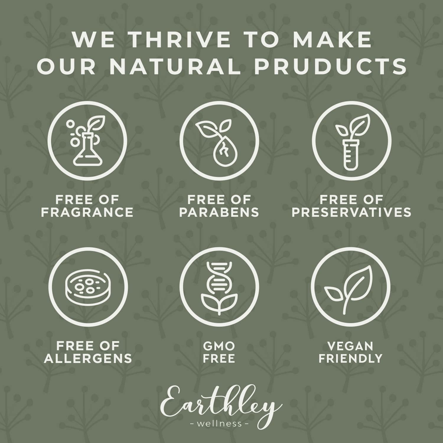 Earthley Wellness Digest Ease — formulation sans additifs artificiels et sans allergènes
