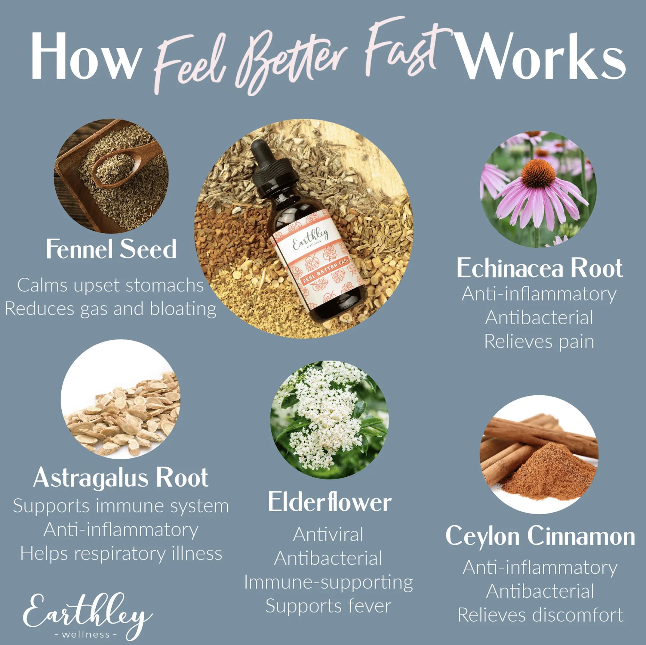 Earthley Wellness Feel Better Fast – mélange d herbes bio avec echinacee et fenouil.