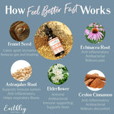 Earthley Wellness Feel Better Fast – mélange d herbes bio avec echinacee et fenouil.