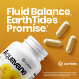 Earthtide Aquavane emballage — emballage sûr et transportable pour la maison.