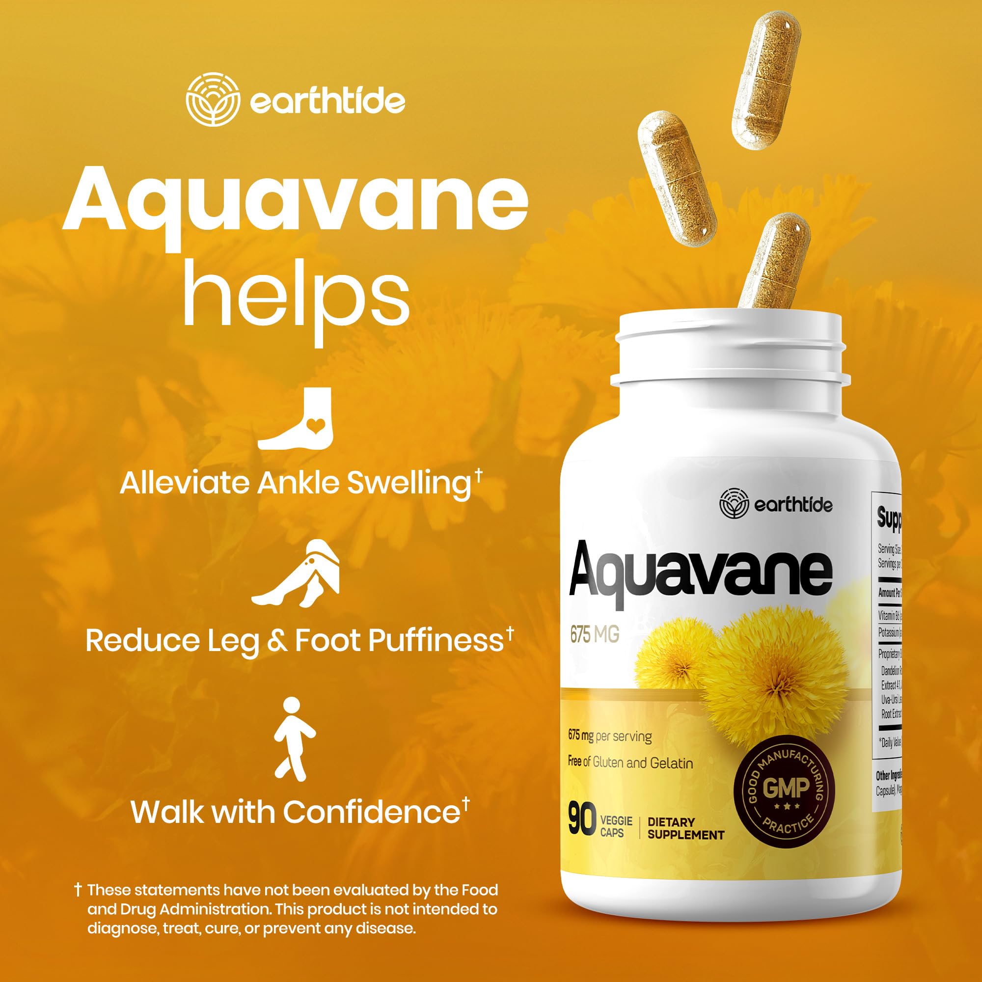 Earthtide Aquavane extraits 4-1 — concentration puissante pour soutenir les fluides.