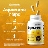 Earthtide Aquavane extraits 4-1 — concentration puissante pour soutenir les fluides.