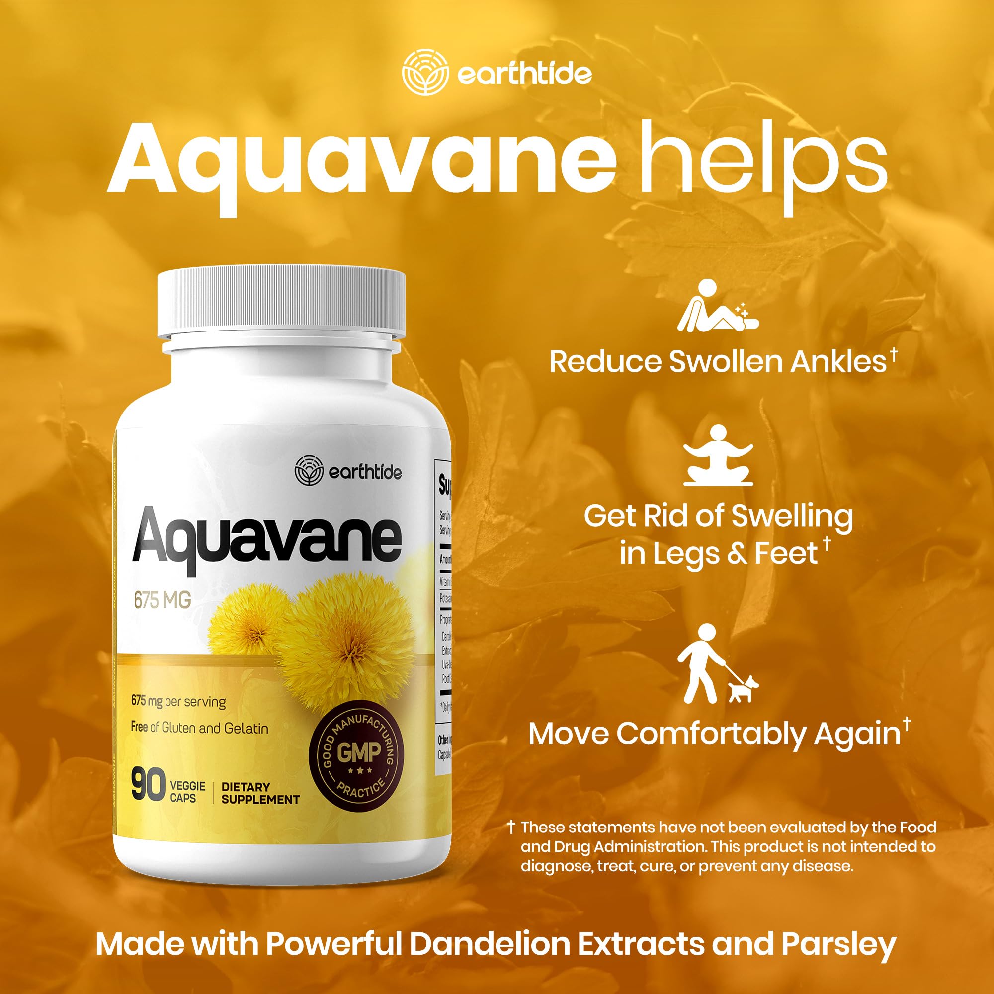 Earthtide Aquavane usage quotidien — peut s'intégrer facilement à votre routine.