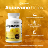 Earthtide Aquavane usage quotidien — peut s'intégrer facilement à votre routine.