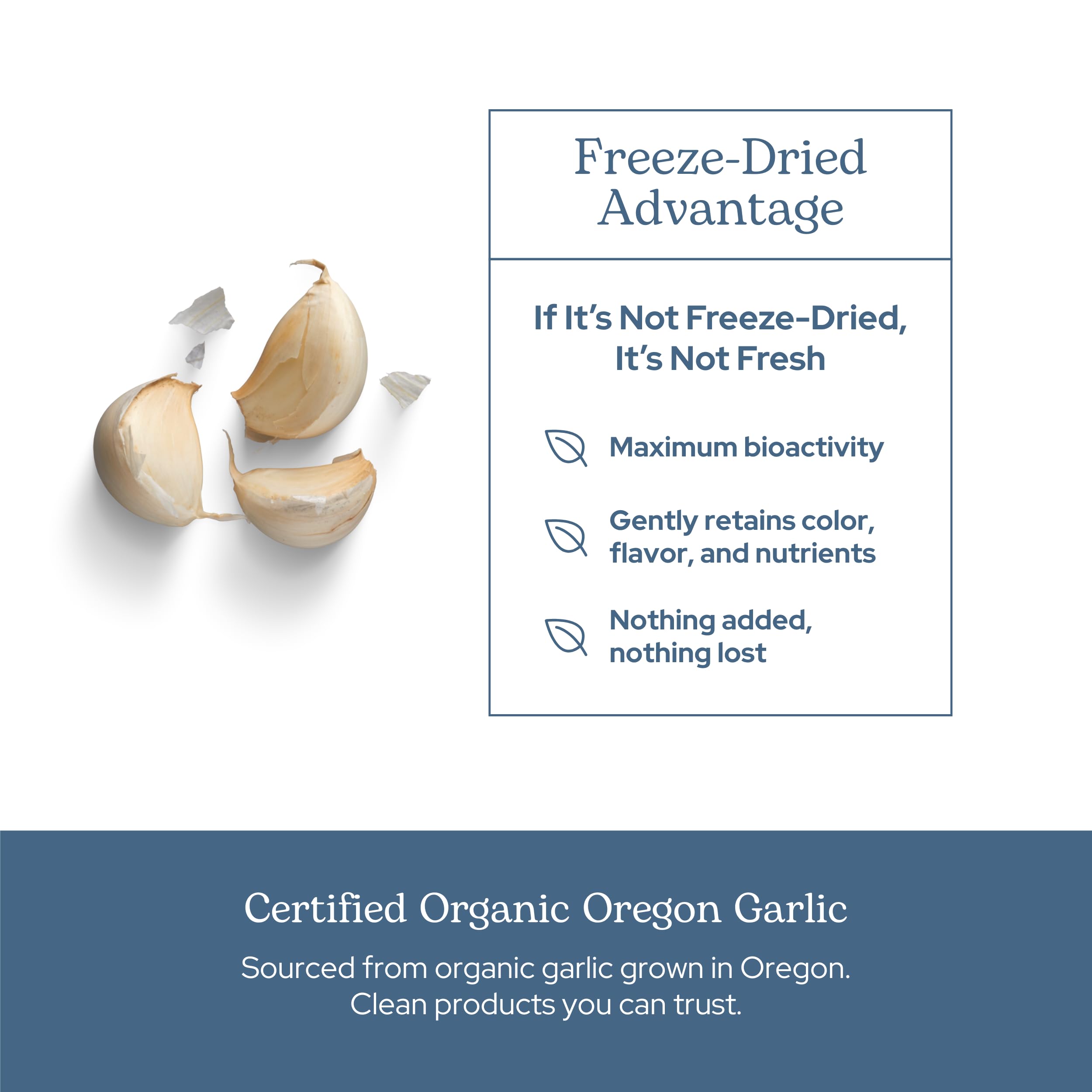 ECLECTIC INSTITUTE ail capsules sans-allergenes: sans OGM et gluten.
