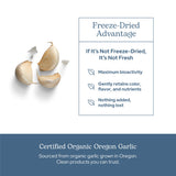 ECLECTIC INSTITUTE ail capsules sans-allergenes: sans OGM et gluten.
