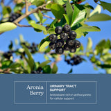 Eclectic Institute Aronie biologique cultivée aux États‑Unis.