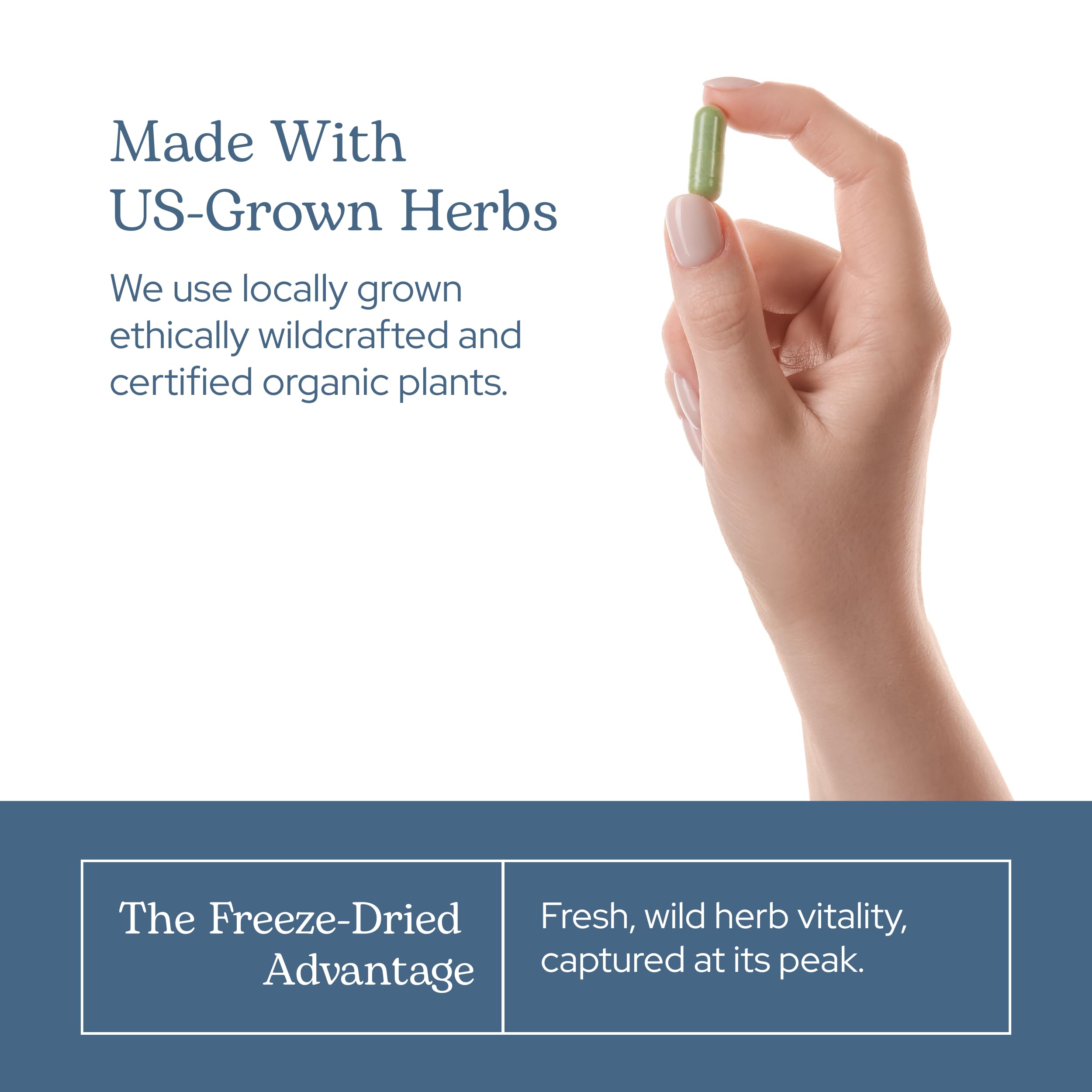 Capsules translucides Eclectic Herb, ingestion facile et conveniente