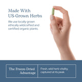 Capsules translucides Eclectic Herb, ingestion facile et conveniente