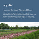 Feuilles de pissenlit et flacon vert d’Eclectic Herb, aspect naturel
