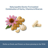 Lyophilisation fraîche des herbes Eclectic Herb, vitalité préservée.