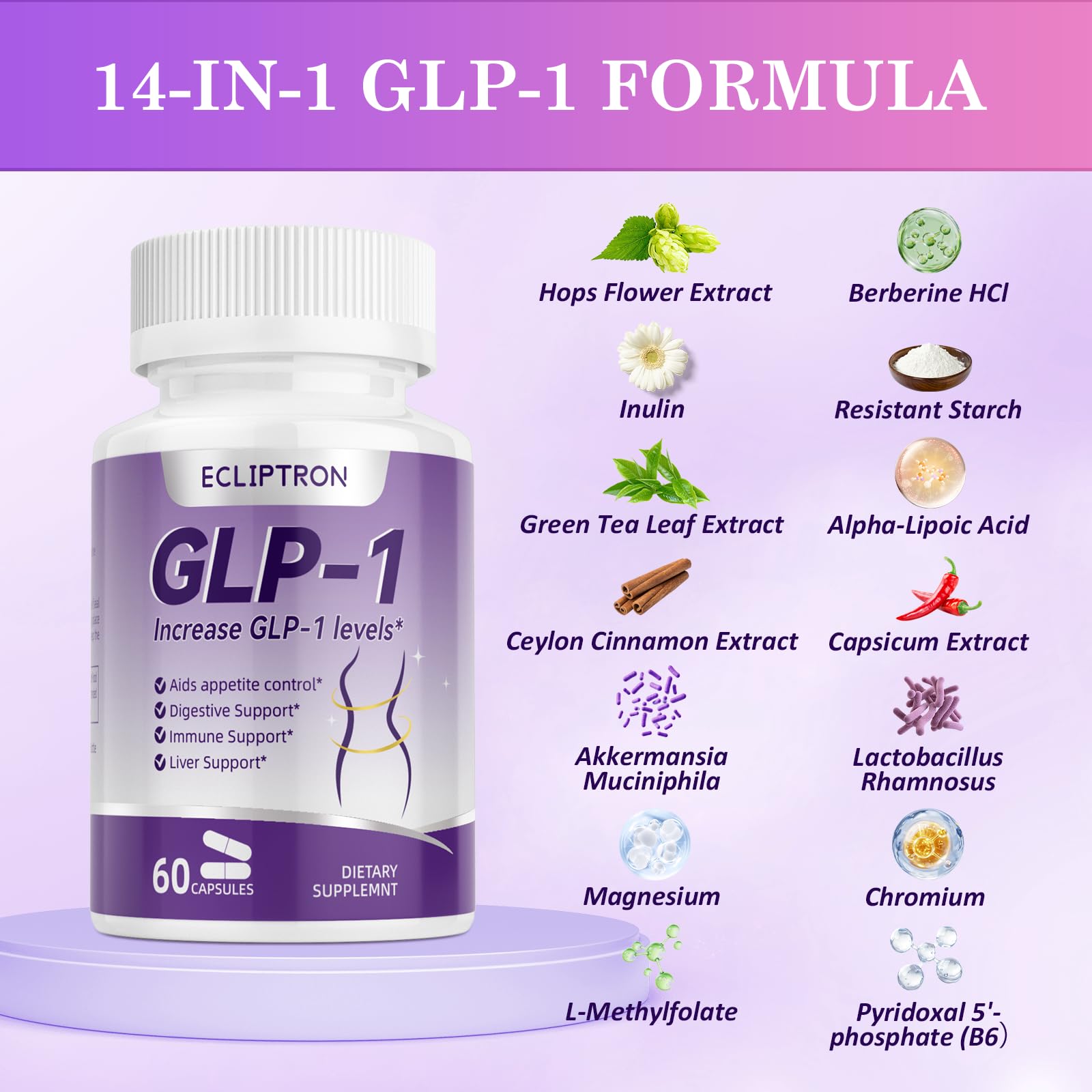 Ecliptron GLP-1 probiotiques Akkermansia, illustration des bénéfices possibles.