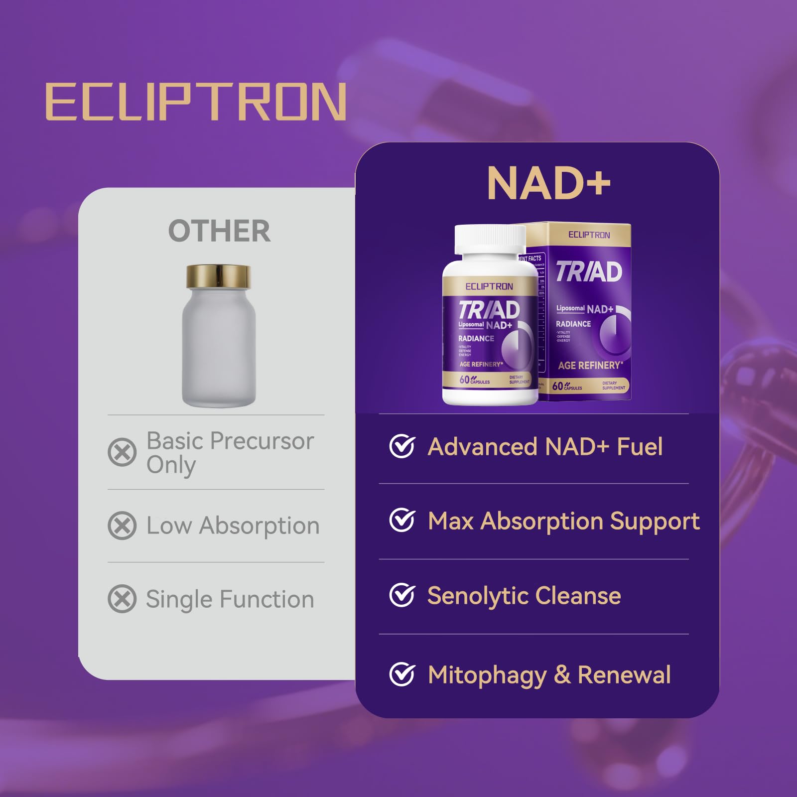 Dose quotidienne d’Ecliptron NAD+ en gélules, pratique et mesurée.