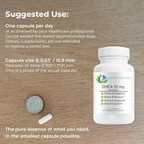 EcoIntegratives DHEA – bouteille et capsules faciles à avaler