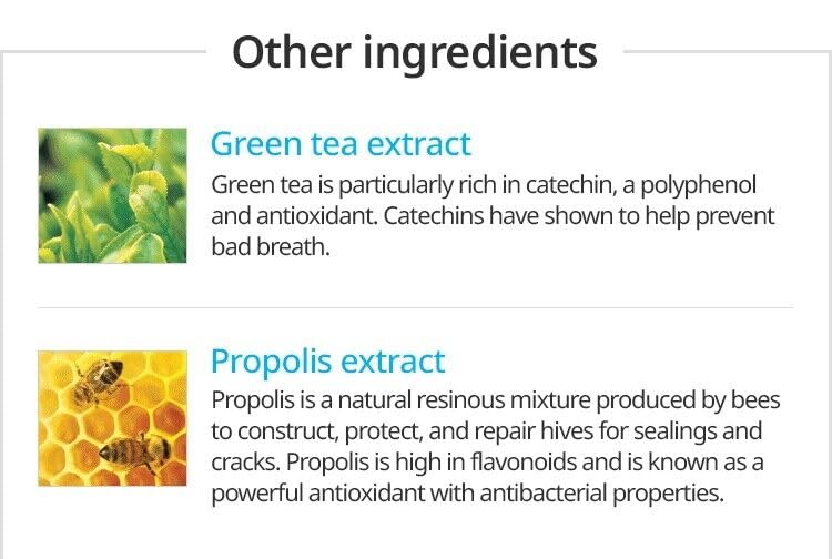 Extrait de thé vert dans le dentifrice ECOAND Propolis pour un goût doux.