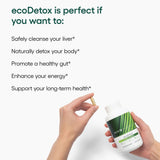 EcoNugenics EcoDetox — utilisation quotidienne avec eau pour une expérience douce.