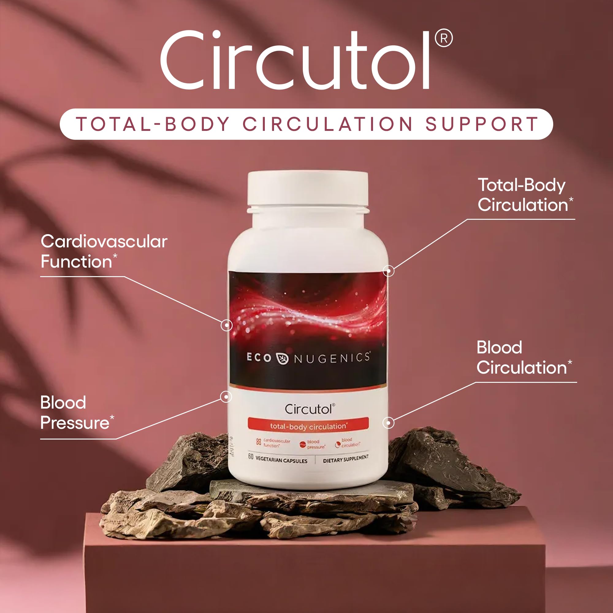 EcoNugenics Circutol – nattokinase pour la circulation et la fonction vasculaire.