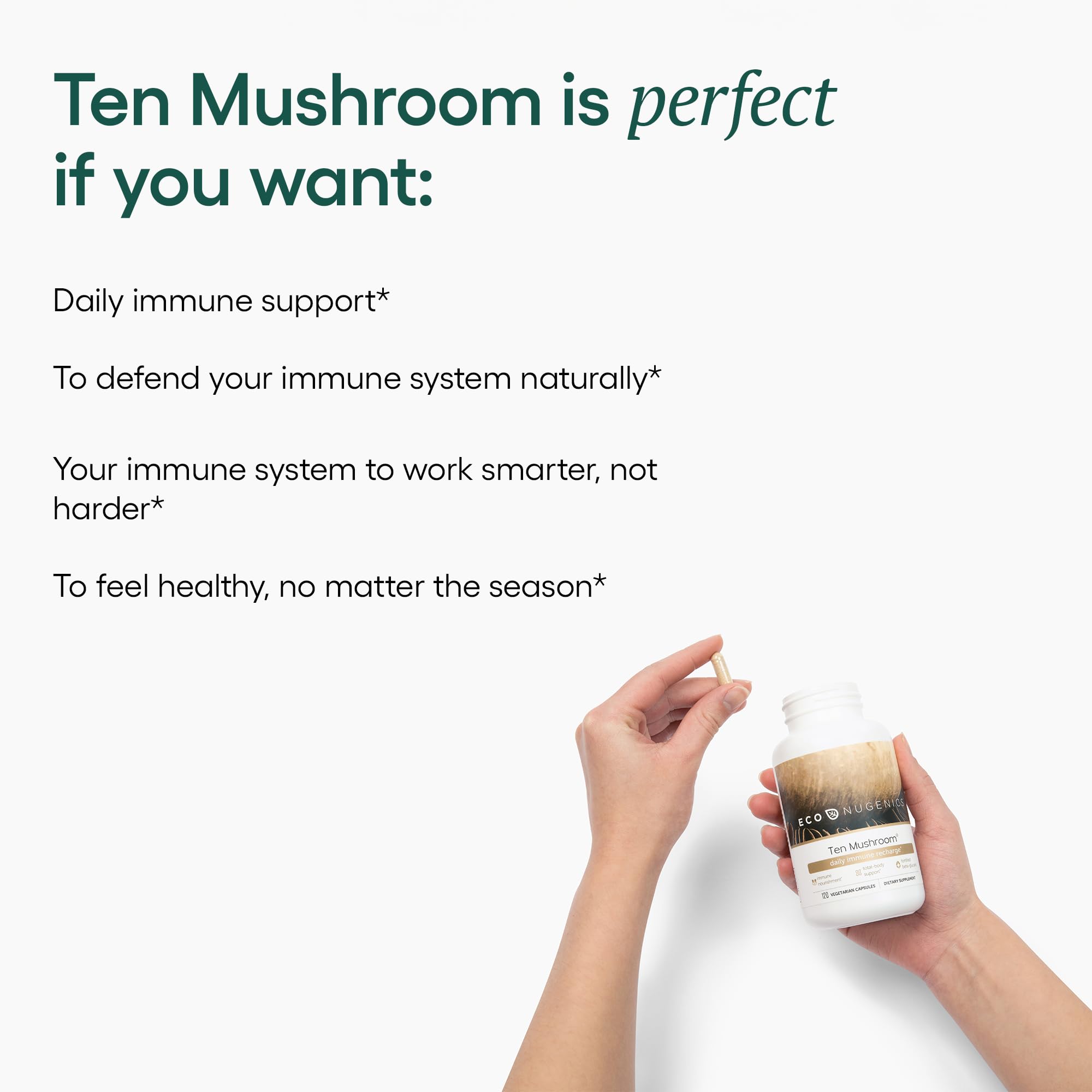 EcoNugenics: maitake et shiitake, soutien digestif et bien-être.