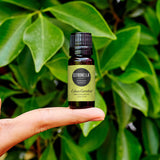 Edens Garden citronnelle, diffuseur salon, ambiance aromatique rafraîchissante.