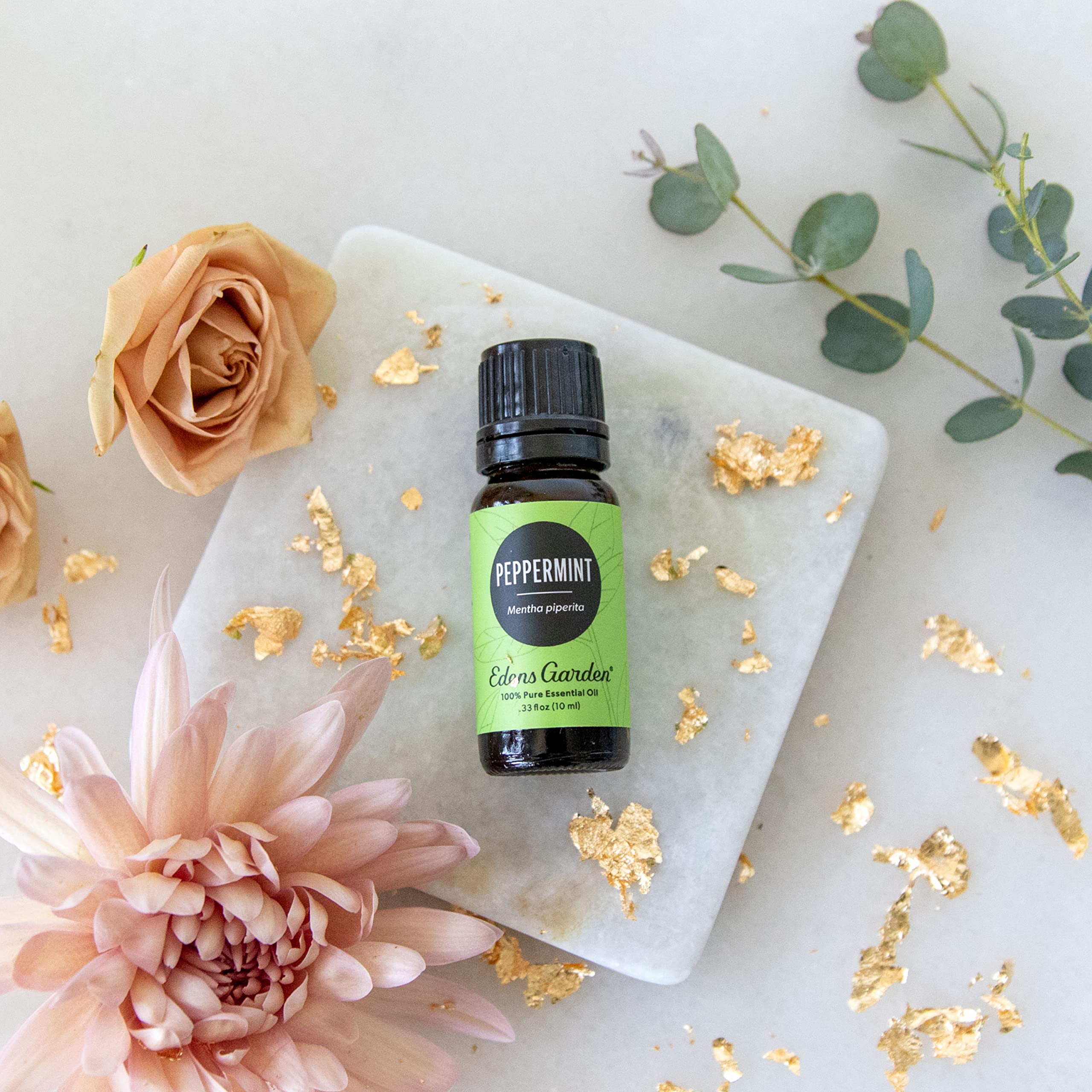 Edens Garden diffuseur menthe : ambiance fraîche et énergisante à chaque utilisation.