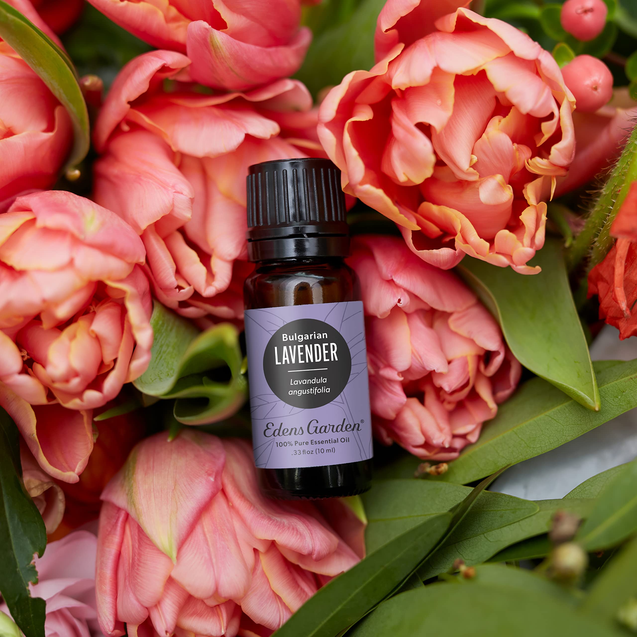 Lavande bulgare Edens Garden arôme doux idéal aromathérapie