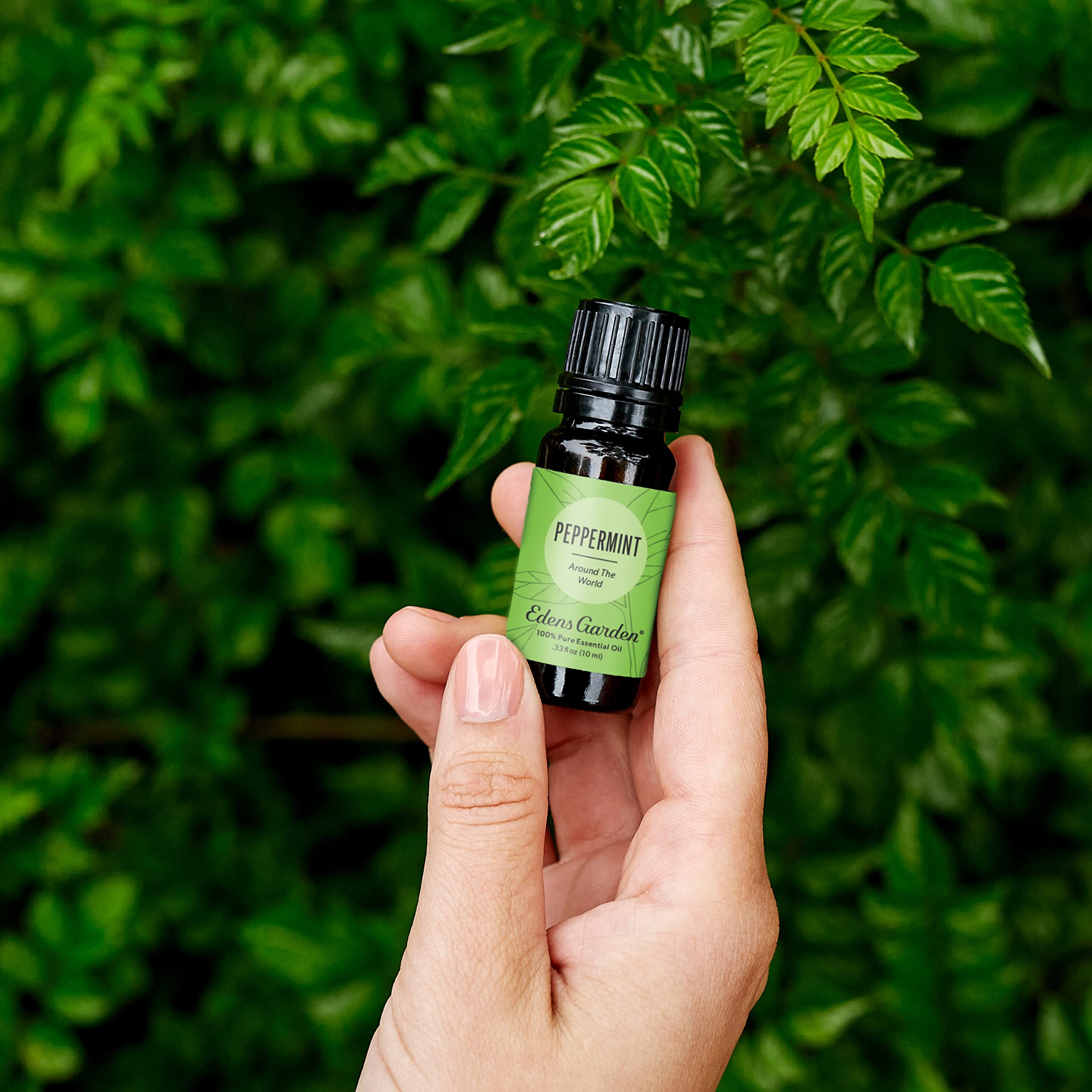 Edens Garden Menthe Poivrée Autour du Monde — diffuseur créant une ambiance énergisante et nette