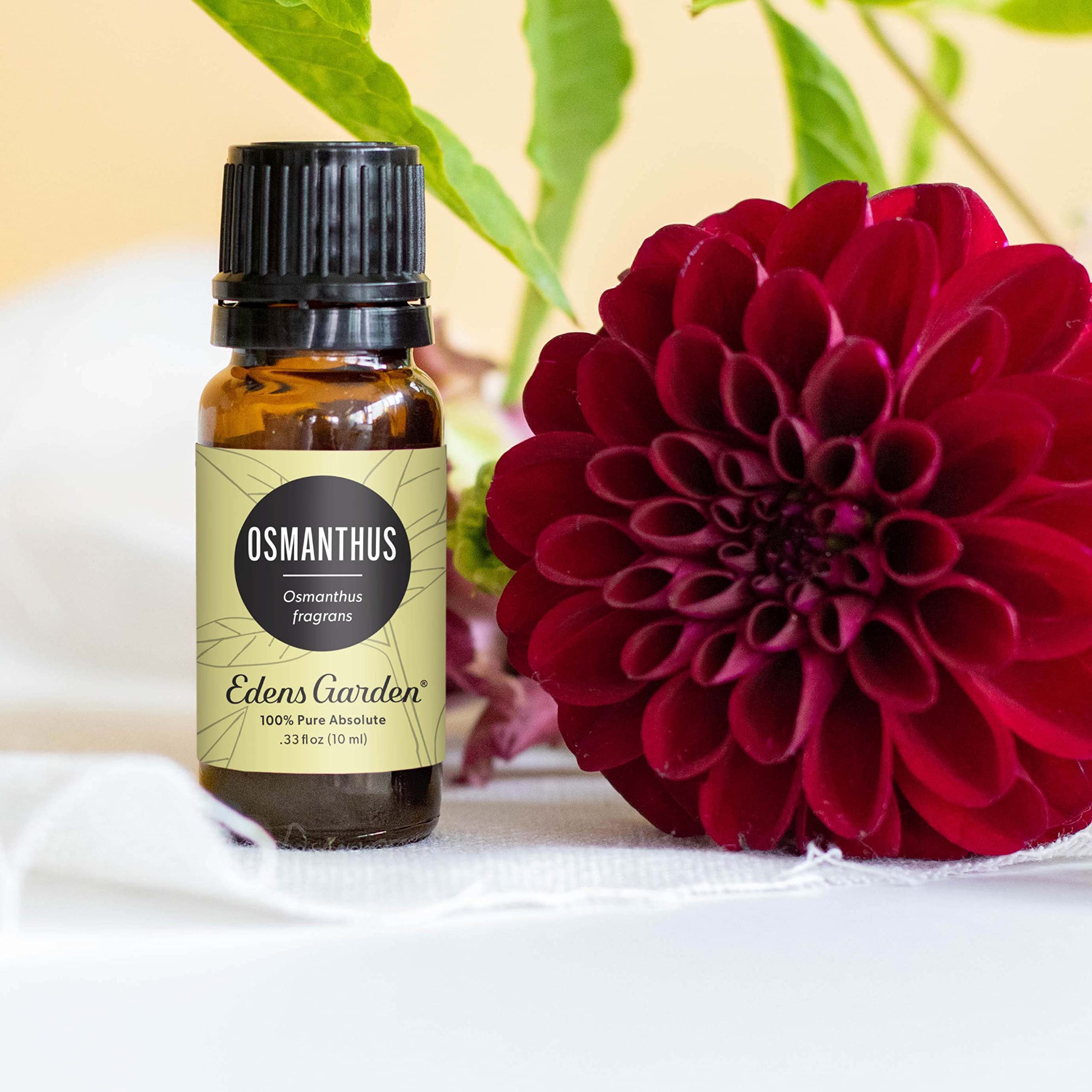 Edens Garden Osmanthus, diffuseur en action avec parfum floral relaxant.