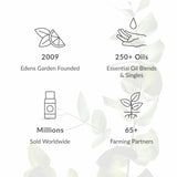 Edens Garden Sweet Pea – diffusion maison pour créer une ambiance printanière.