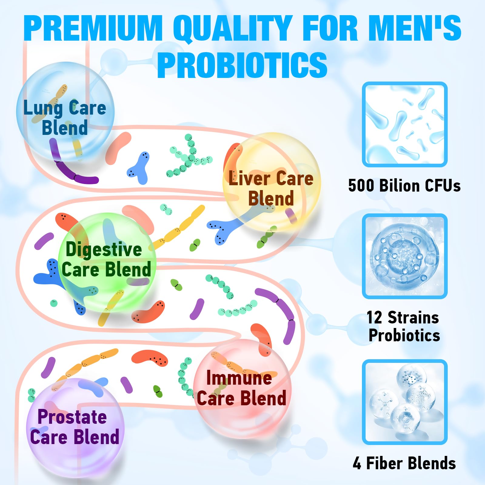 Edoempe Probiotiques pour hommes – poumons et foie soutenus pour une vitalité durable.
