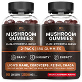 Gomme Effective Nutra champignons emballage élégant pour votre routine quotidienne